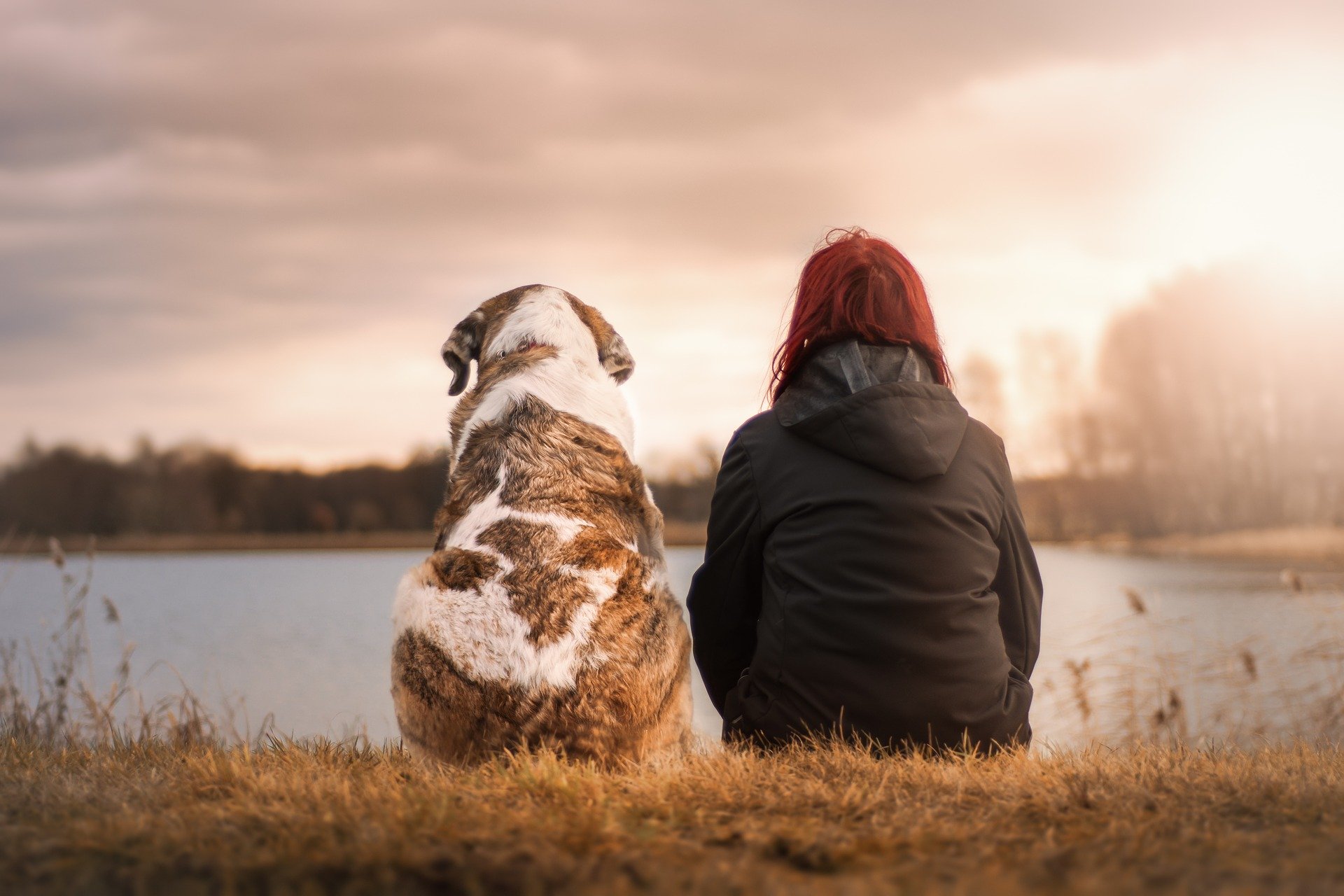 person and dog relaxing looking at a lake